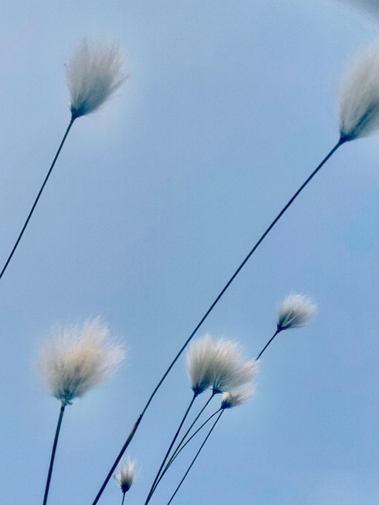 Photograph by Виктория Ярина