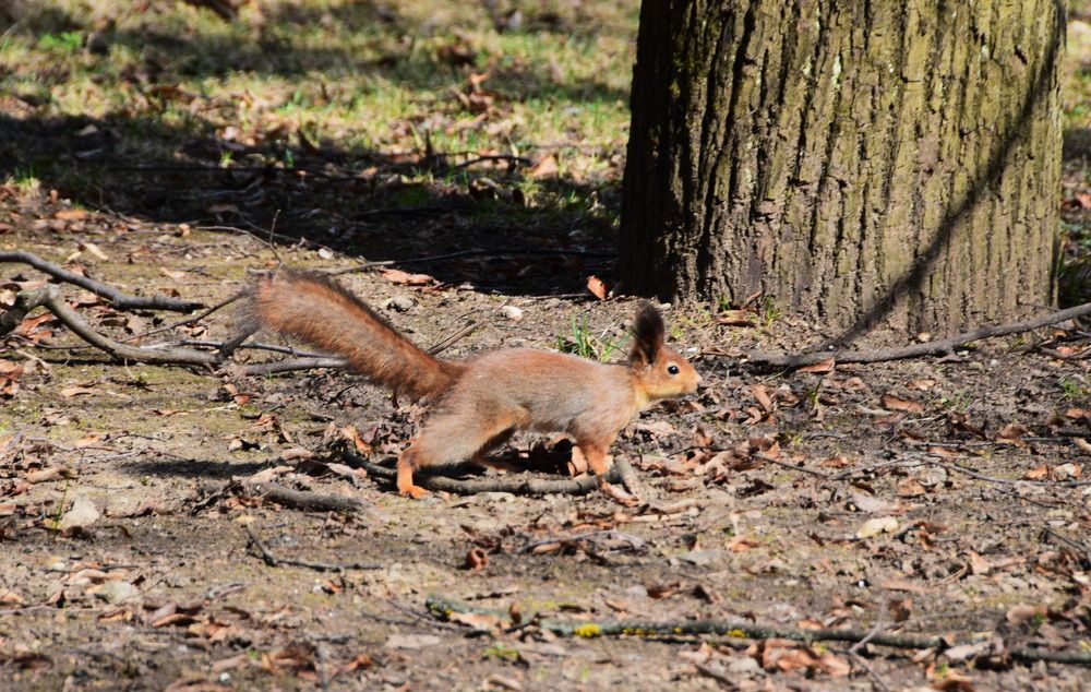 Photograph by Galina Leskova