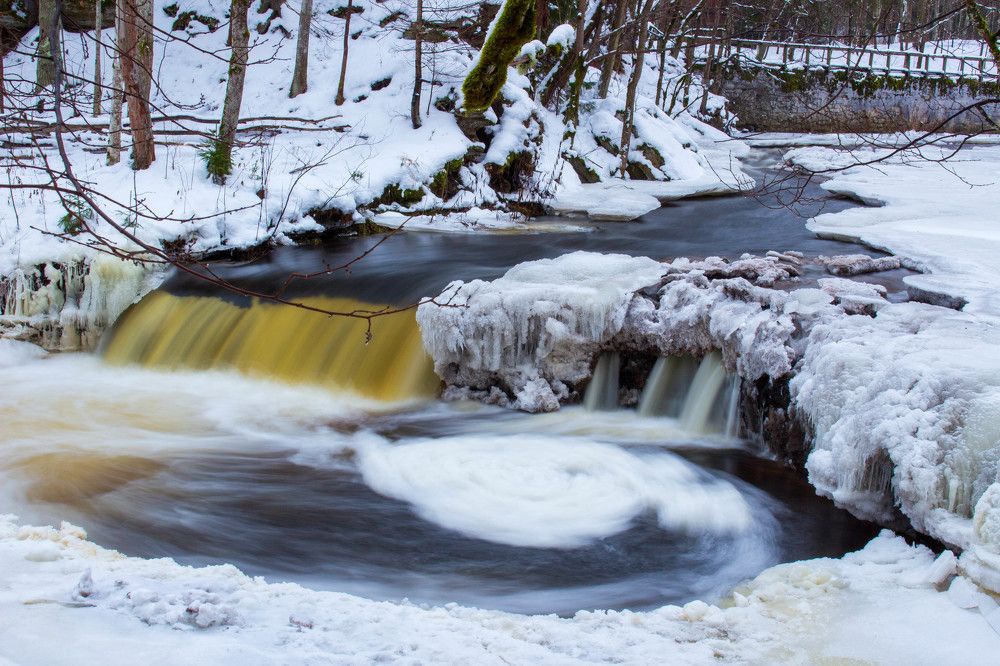 Photograph by Andres Papp