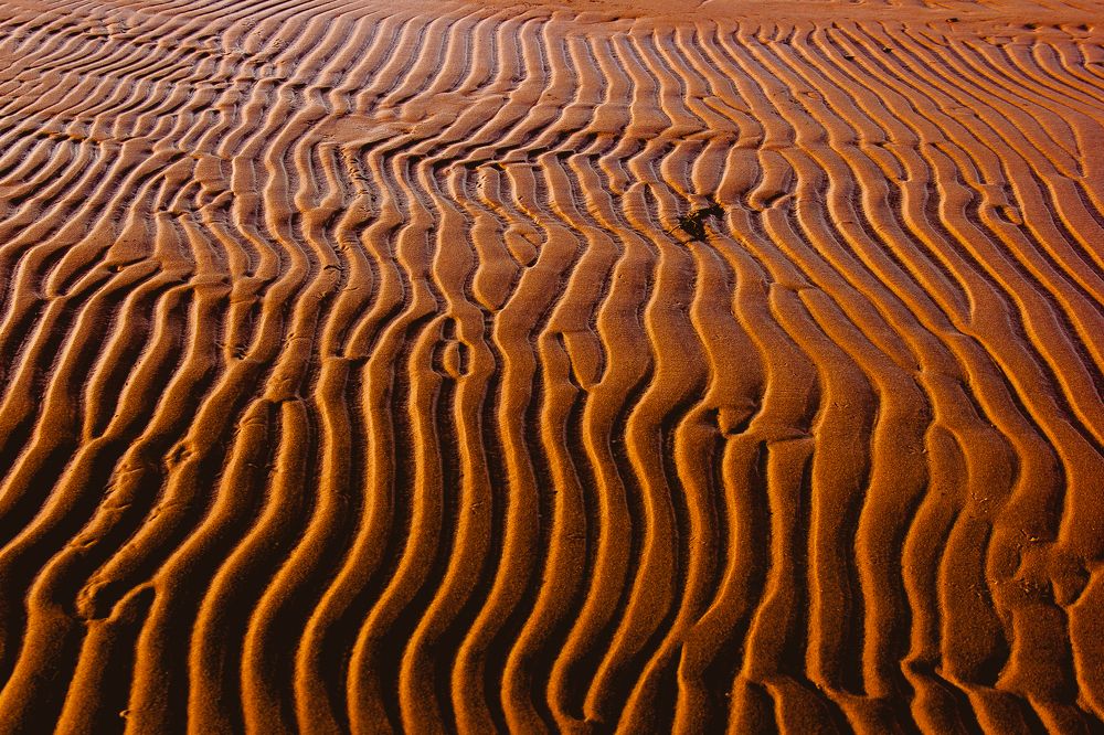 Photograph by Александр Парамонов