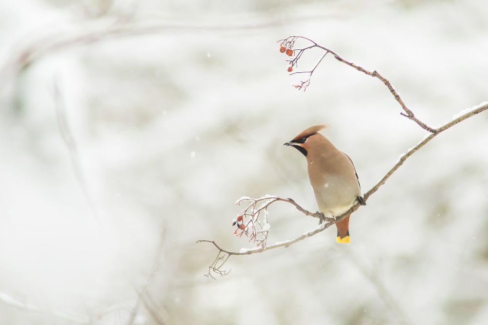 Фотография автора Суслов Дмитрий