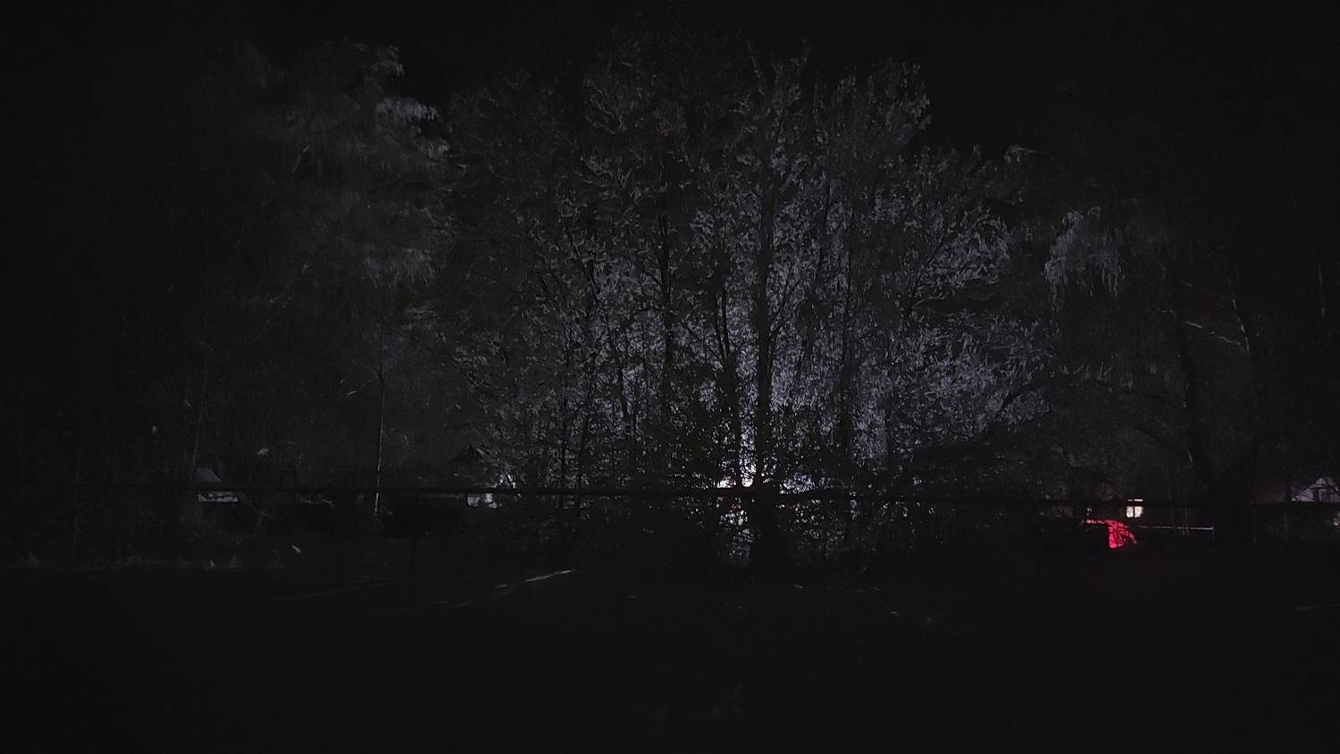 Photo #7143724