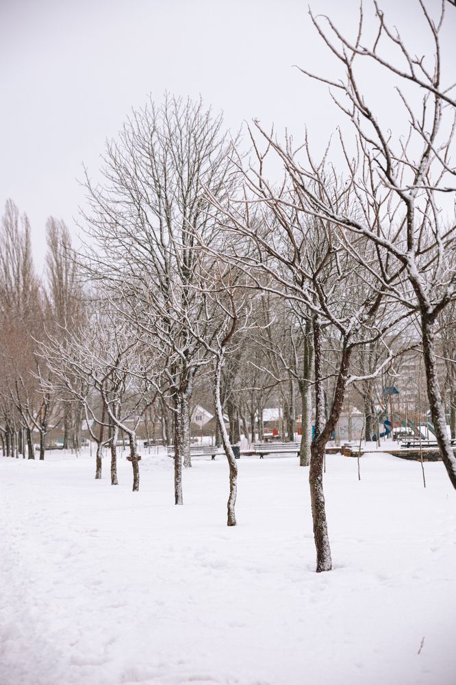 Фотография автора Лукашенко Ольга