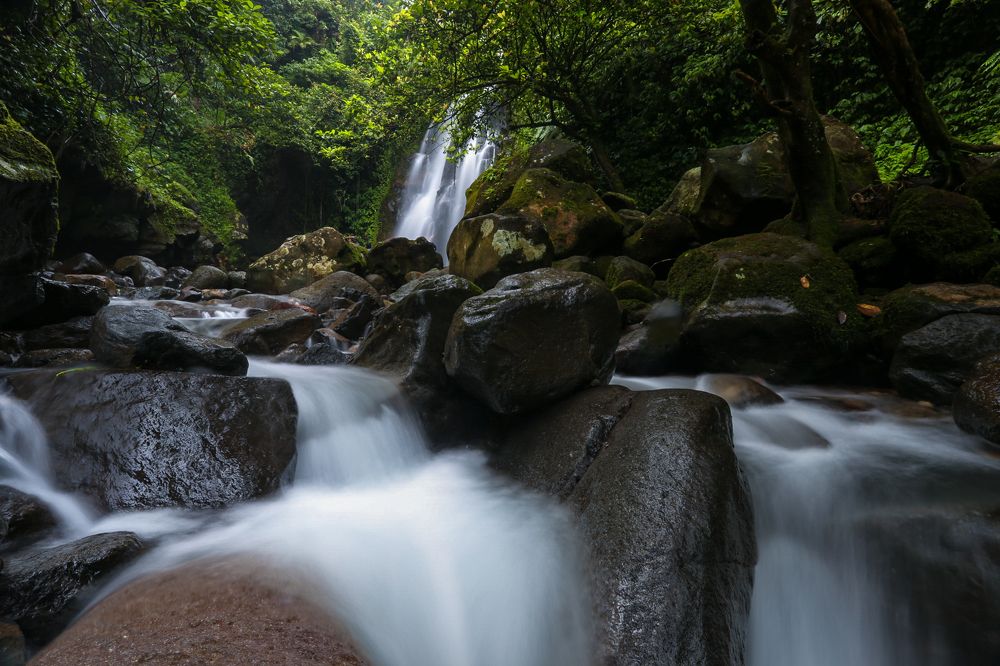 Photograph by Royanto Royanto