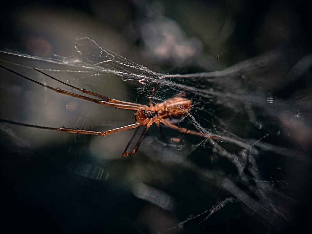 Photograph by Денис Шамров