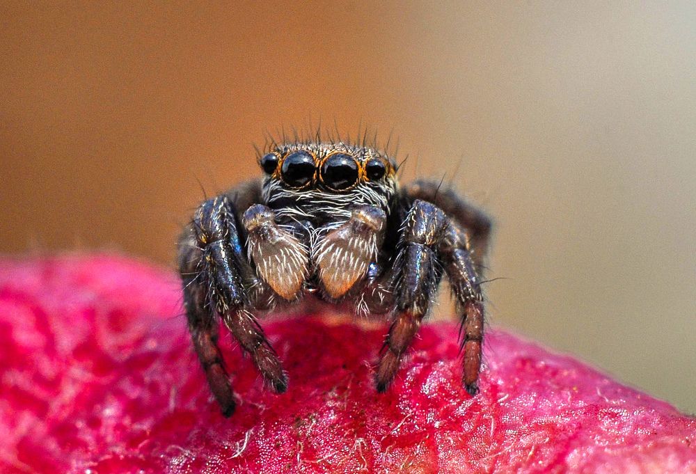 Photograph by Олеся zme