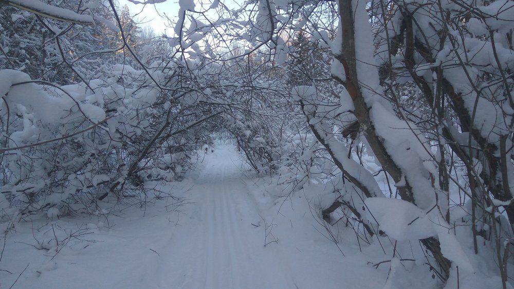 Снежная арка