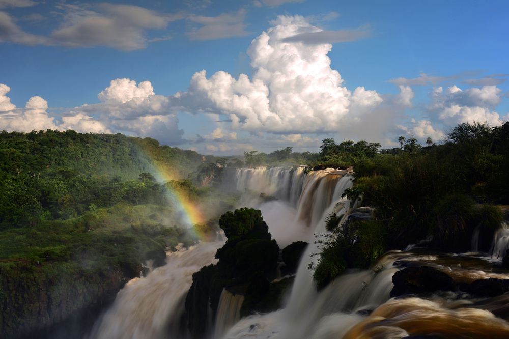 Photograph by SI SABER LOTFI