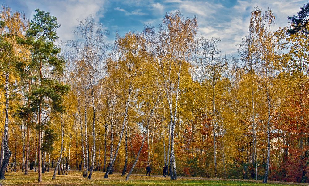 Что такое осень ?