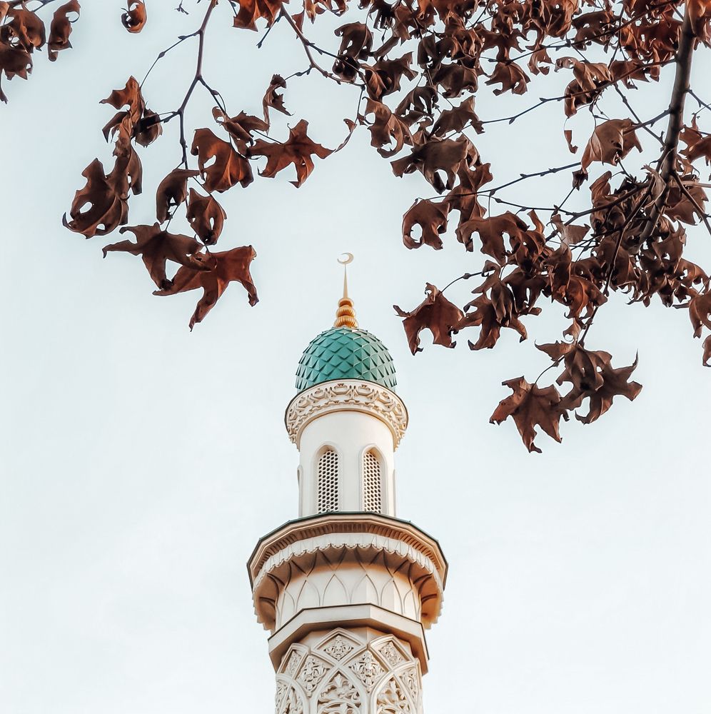 Photograph by Темур Талипов