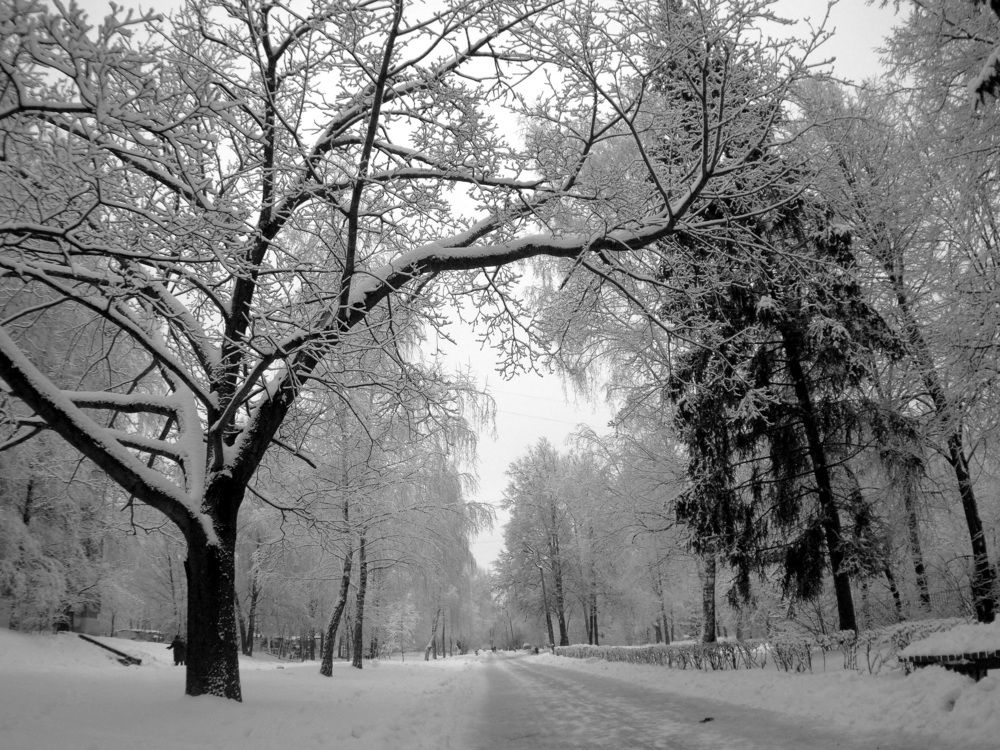 Photograph by Андрей Михайлин