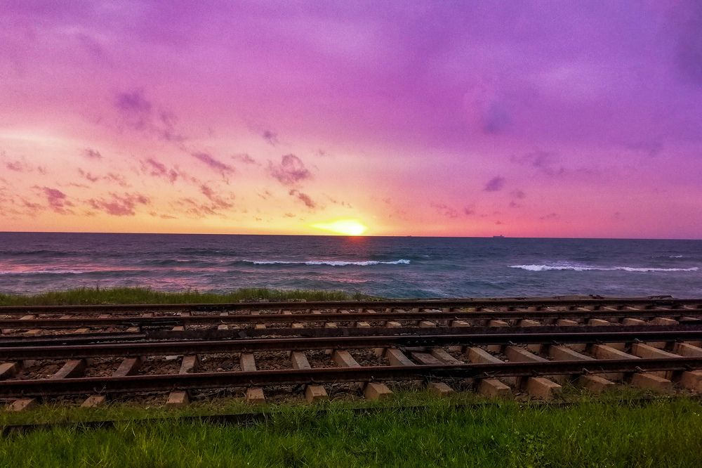 Фотография автора Pallegama Gamage Ruwan Sampath