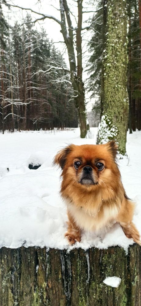Photograph by Александр Шкляров
