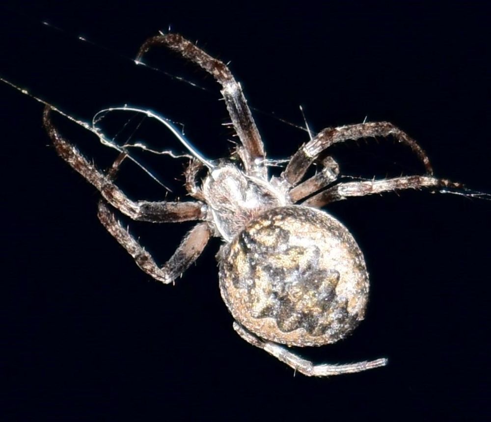 Photograph by Елена Глухова