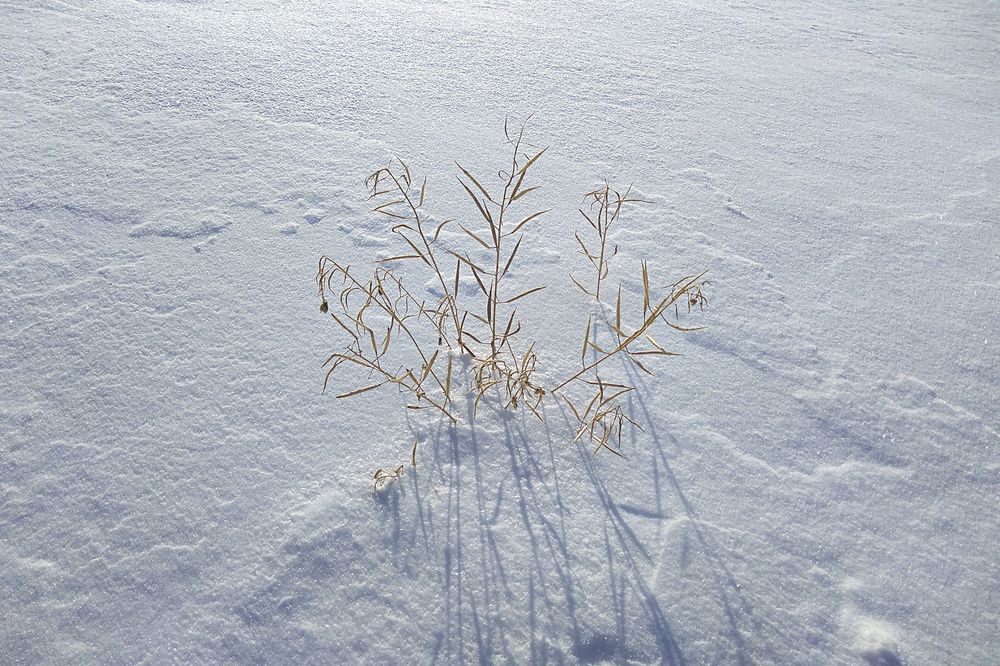 Photograph by Татьяна Атисс