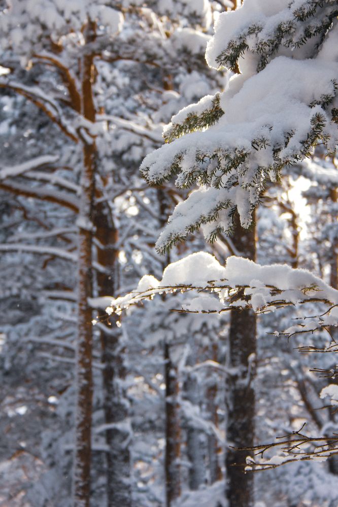 Photograph by Natalia Safronova