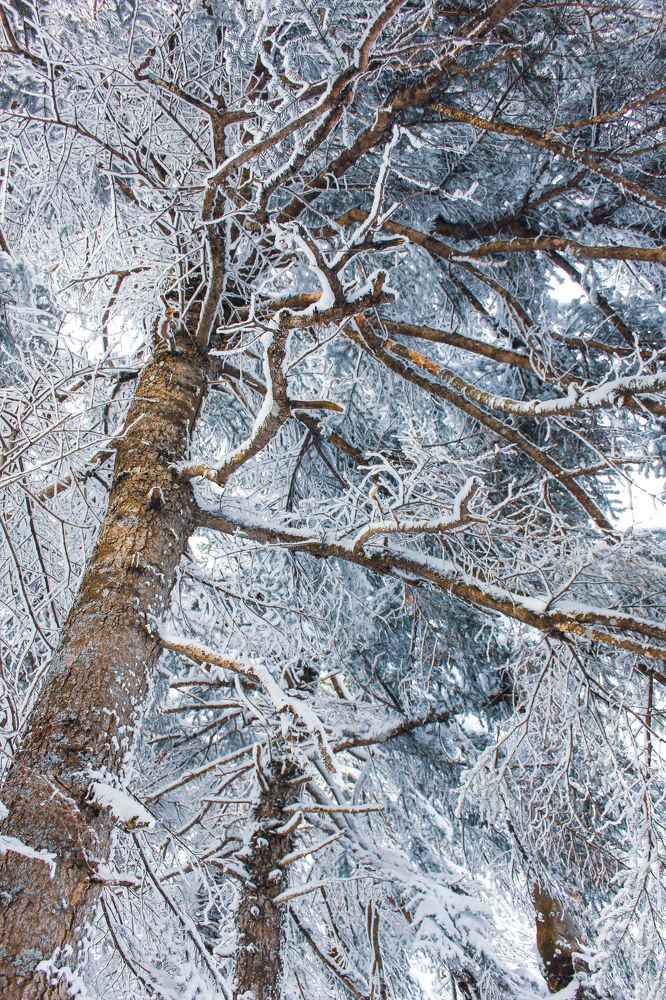 Photograph by Natalia Safronova