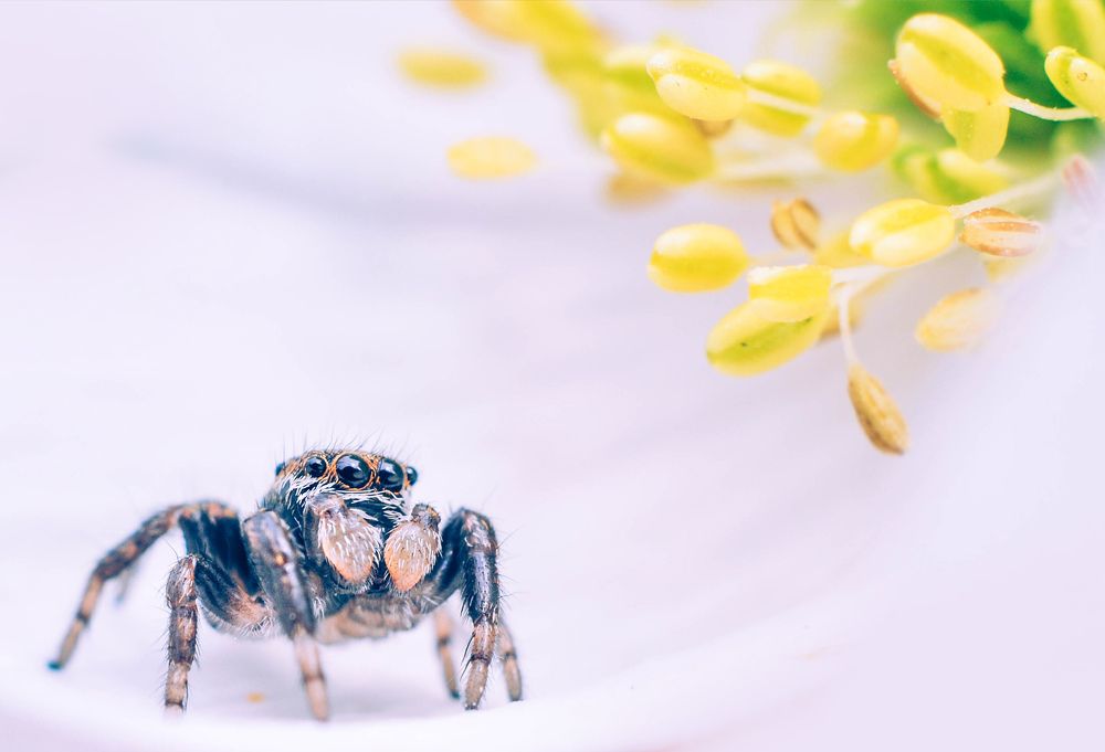 Photograph by Олеся zme