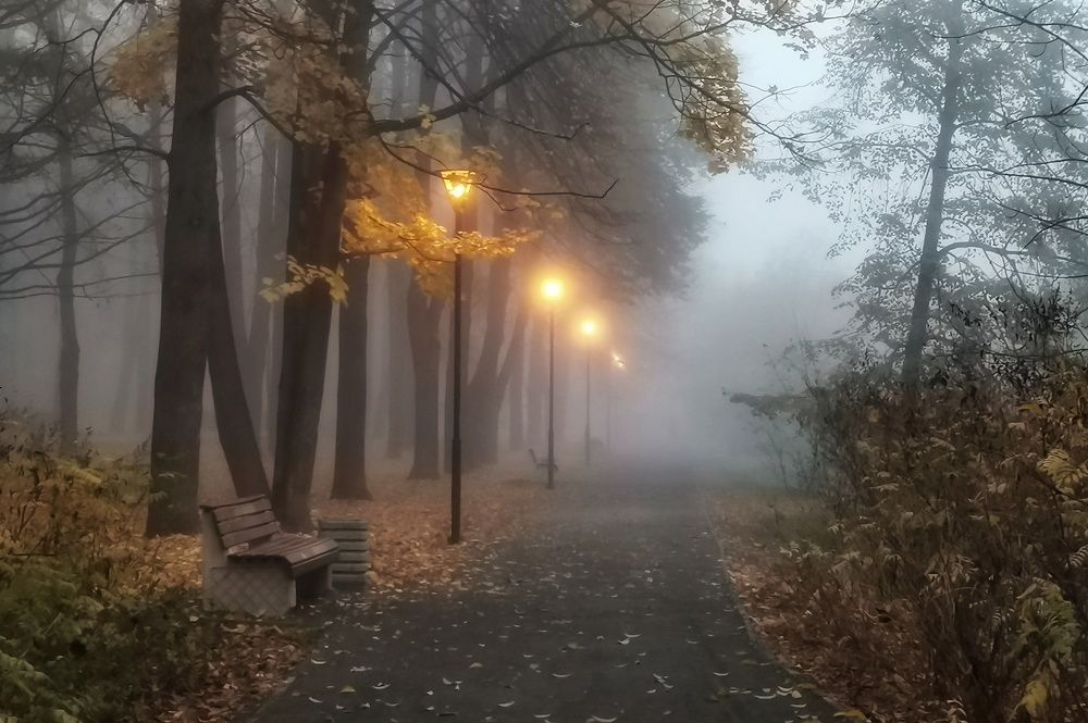 Photograph by Наталья Матухина