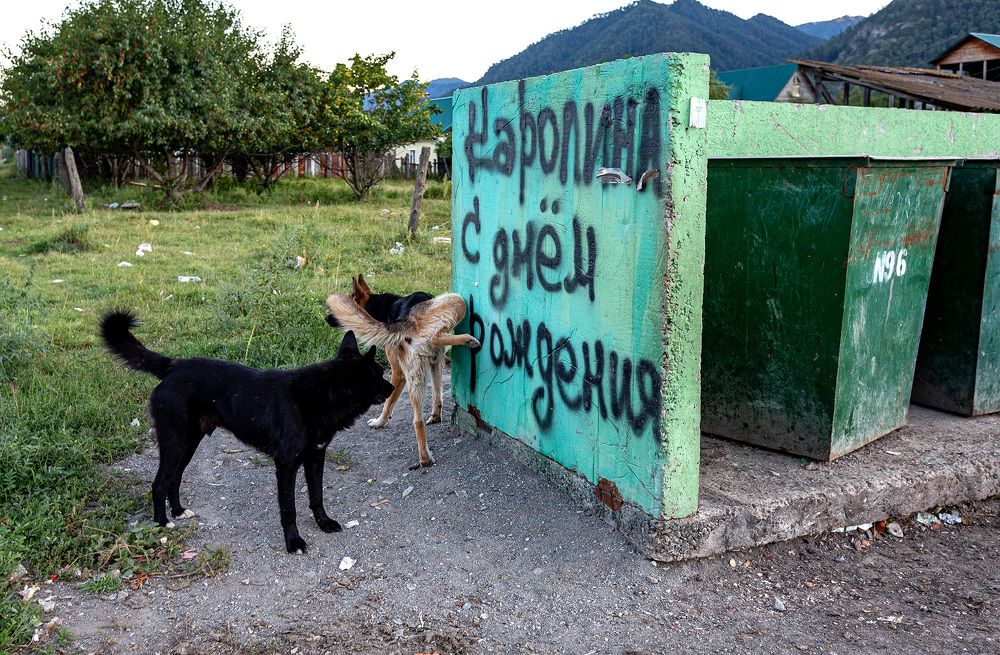 Photograph by Леонид Николаев