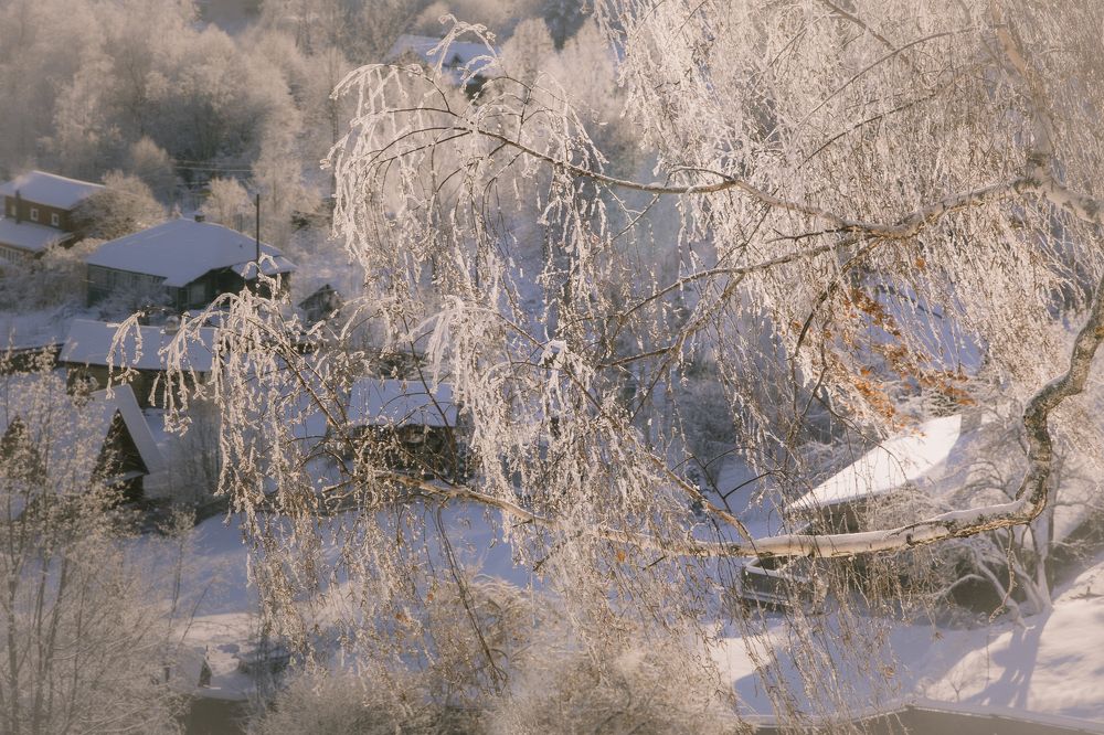 Photograph by Елена Станькова