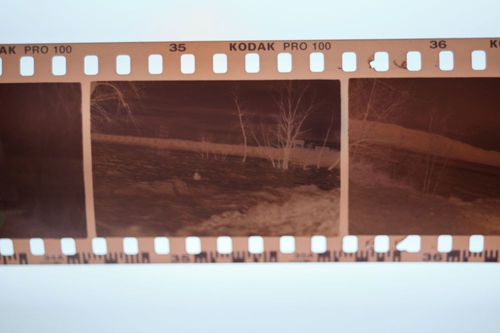 Photograph by Андрей Мертвищев