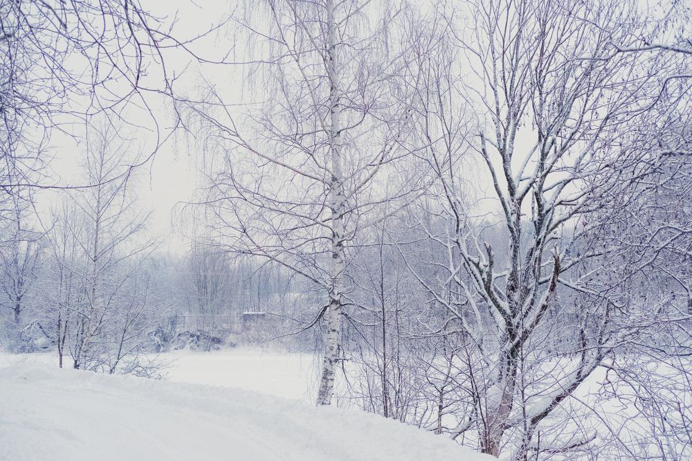 Photograph by Derevyanko Olga