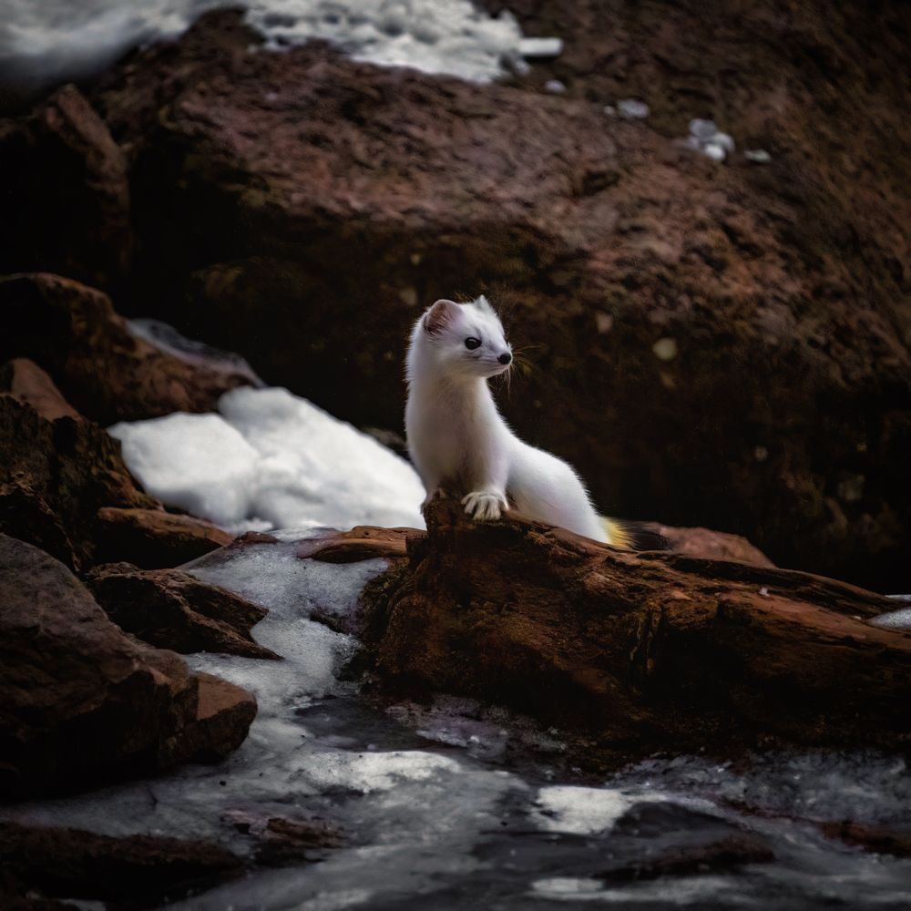 Photograph by Ислам Мирсаитов