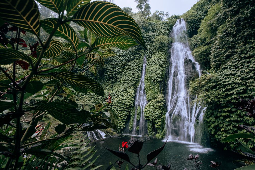 Photograph by Анастасия Сауль