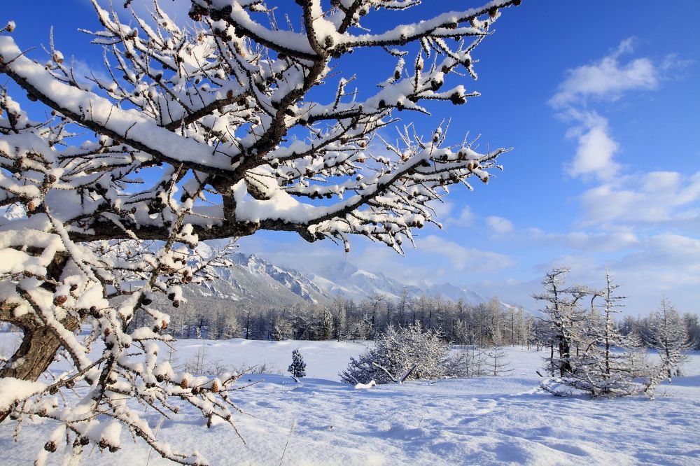 Photograph by Ирина Сушко