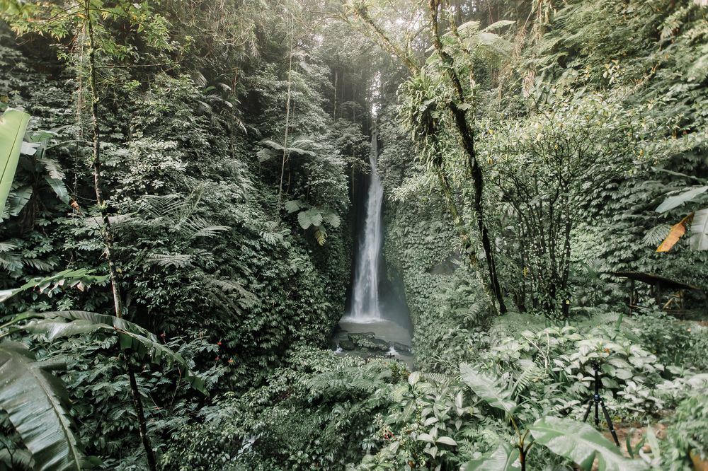 Photograph by Анастасия Сауль