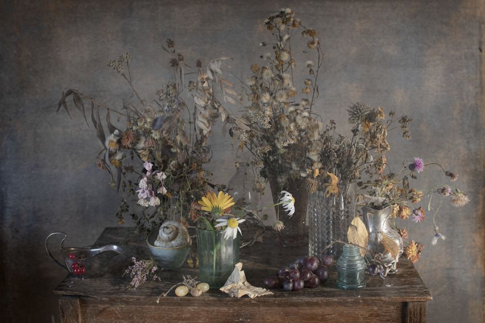 Фотография автора Коршак Елена