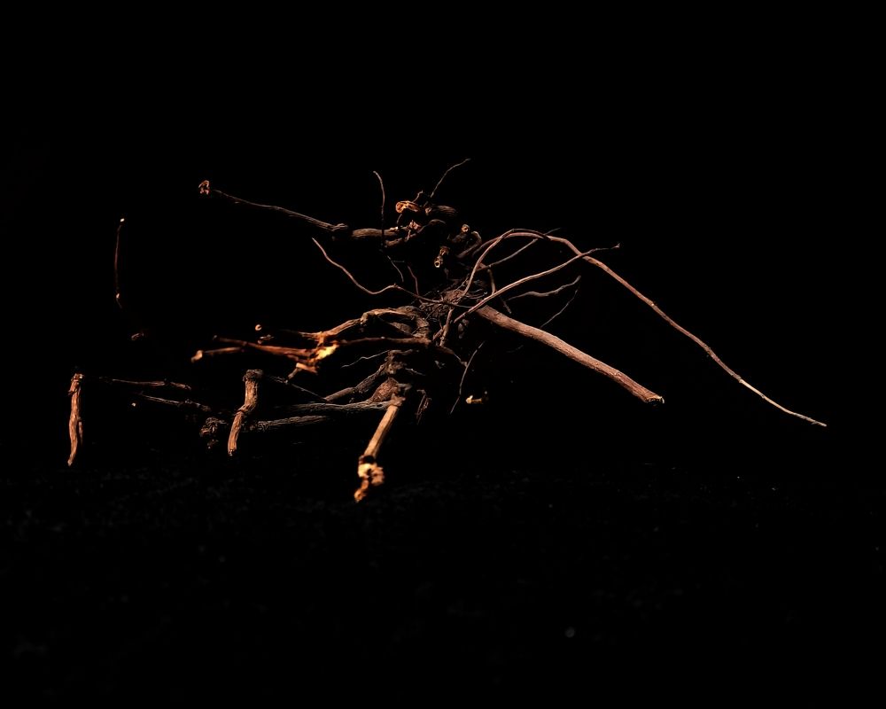 Photograph by Svetlana Yurasova