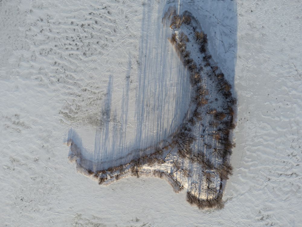 Photograph by Дмитрий Котов