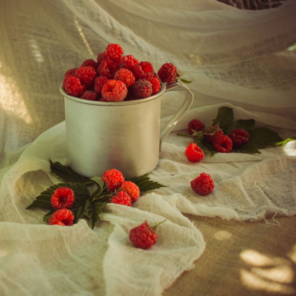 Photograph by Natalia Shilova