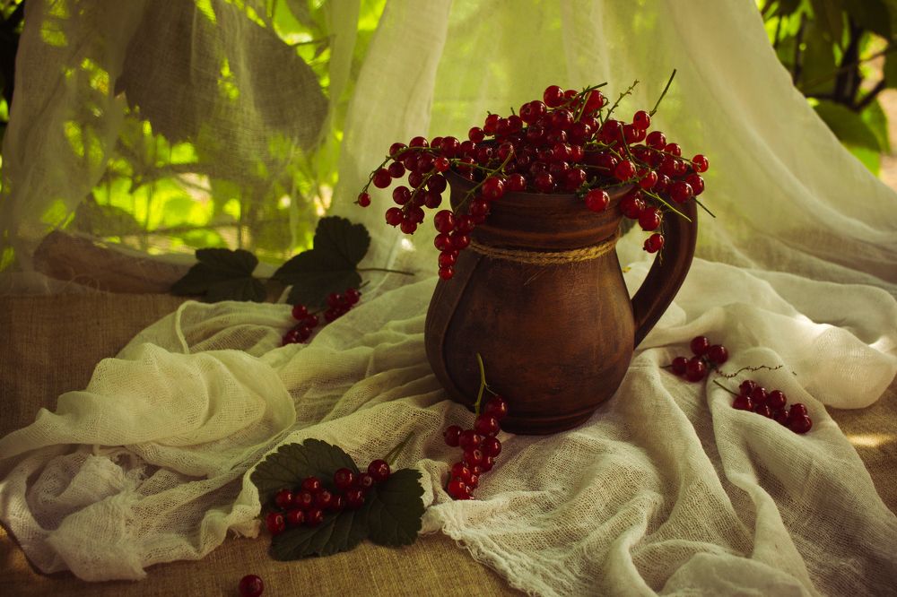 Photograph by Natalia Shilova