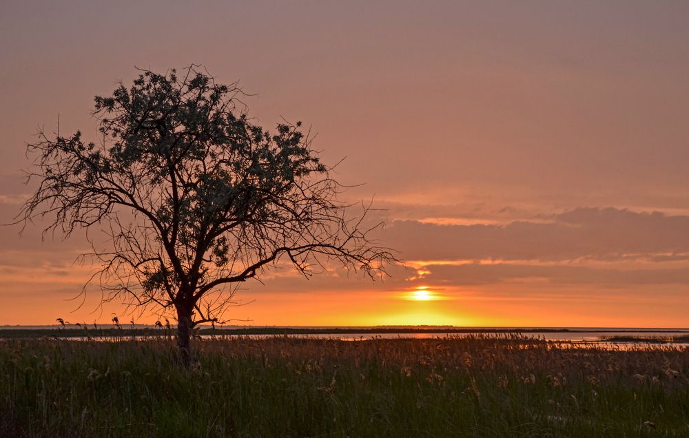 Photograph by Валерий Наумов