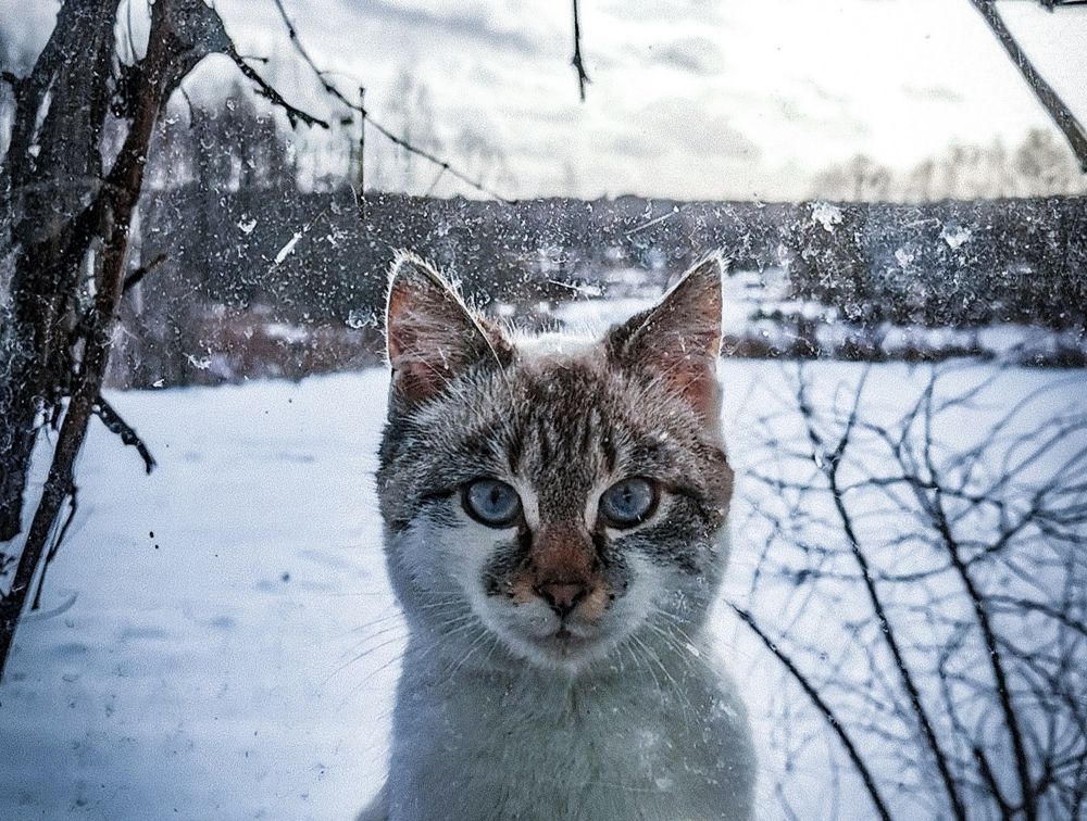 Photograph by Влад Мурин