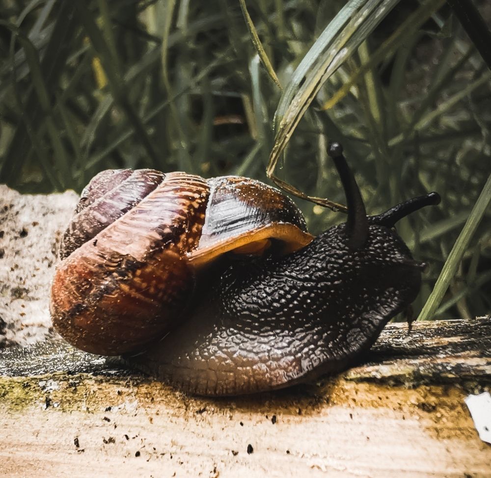 Photograph by Влад Мурин