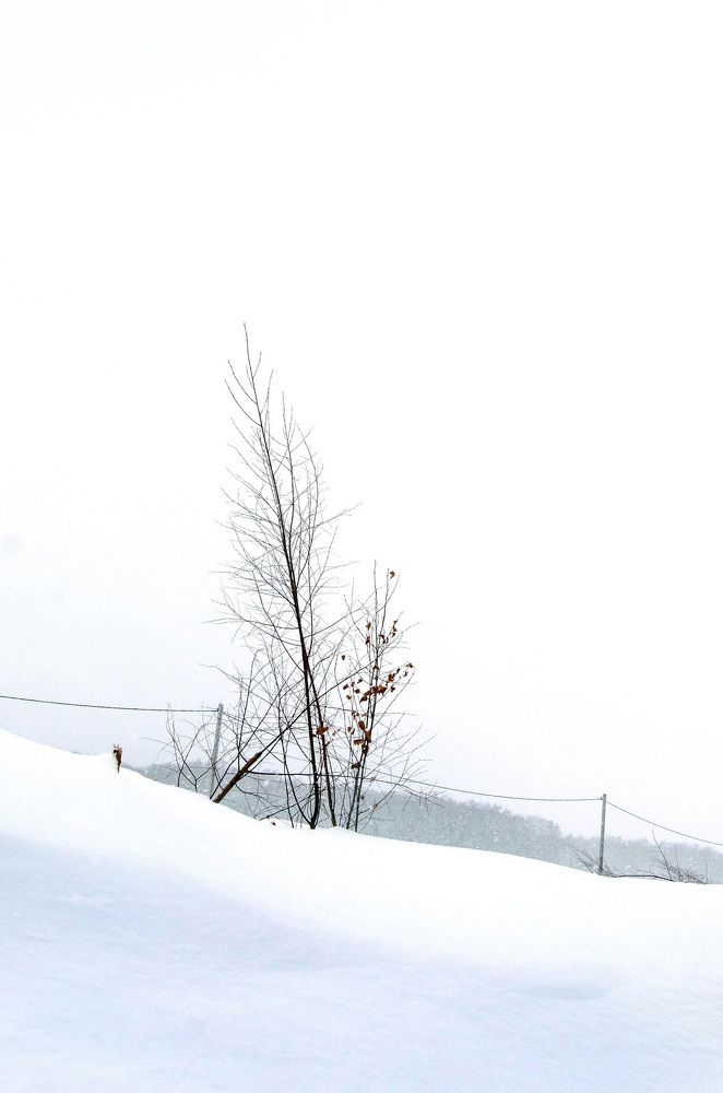 Photograph by Светлана