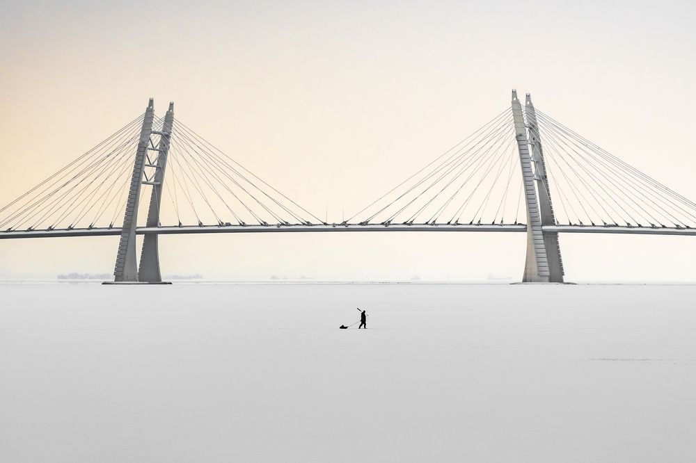 К своим берегам