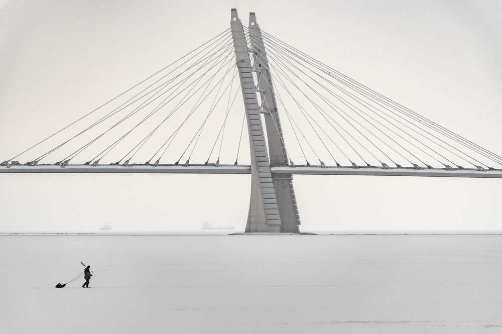 К своим берегам