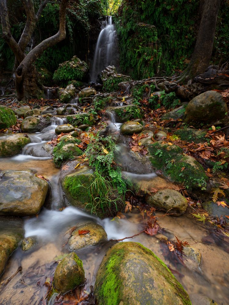 Осень на севере Израиля