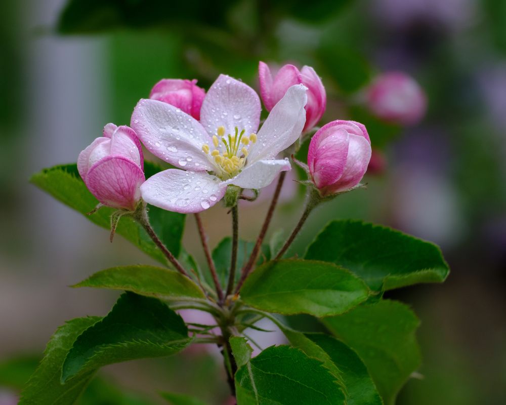 Photograph by Vasiliy Kuvakin