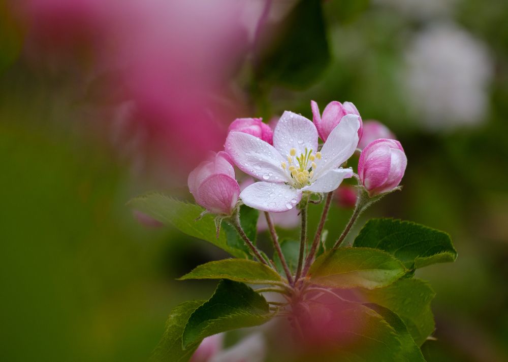 Photograph by Vasiliy Kuvakin