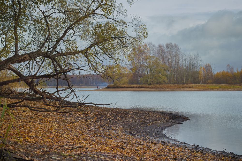 Photograph by Елена Хвойнова