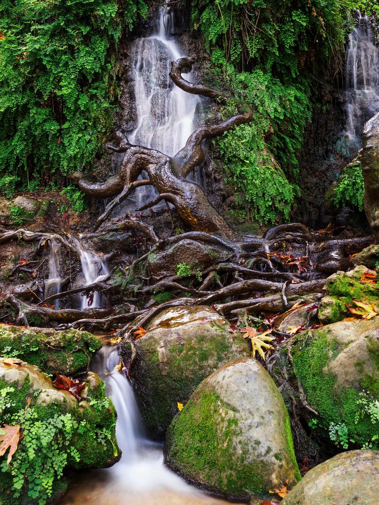 Осень на севере Израиля (Декабрь ))