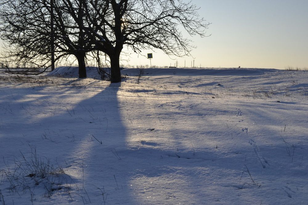 Photograph by Остапчук Ольга