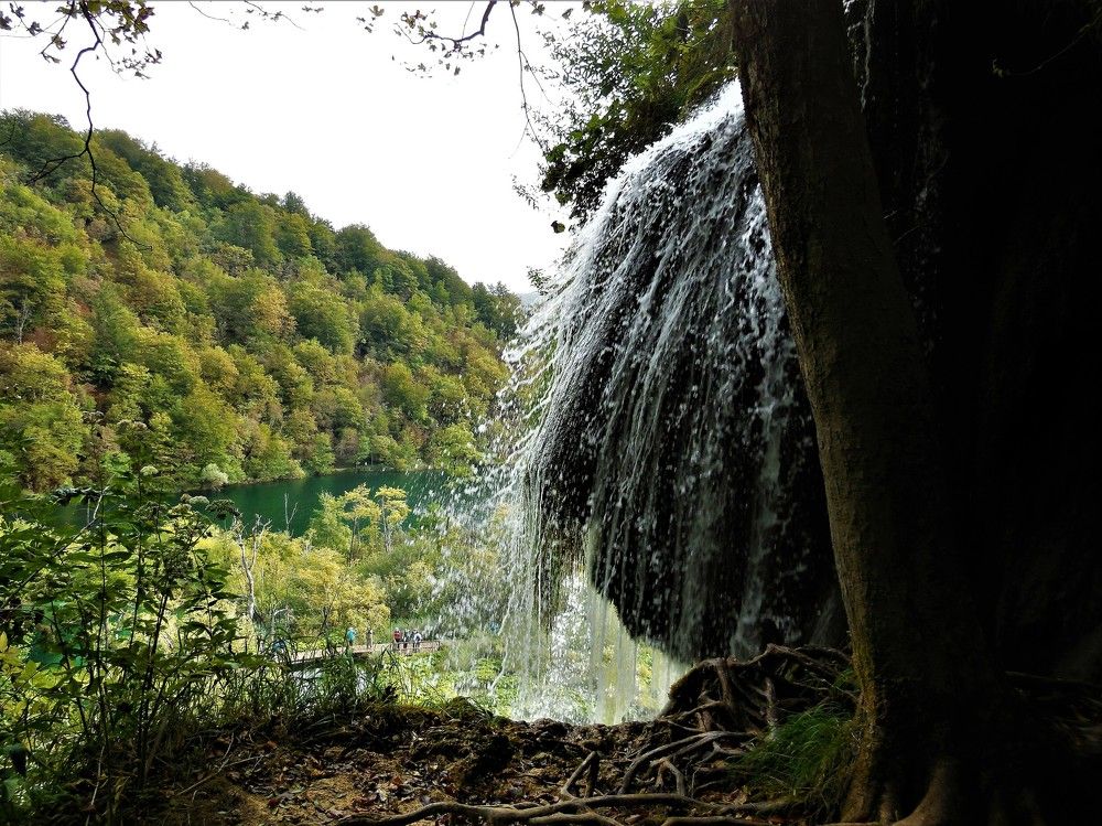 Photograph by Ева К.