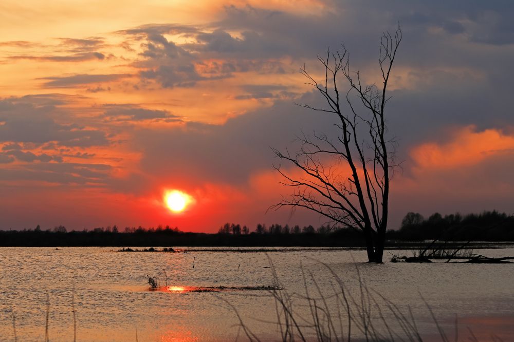Закат на пойме во время половодья